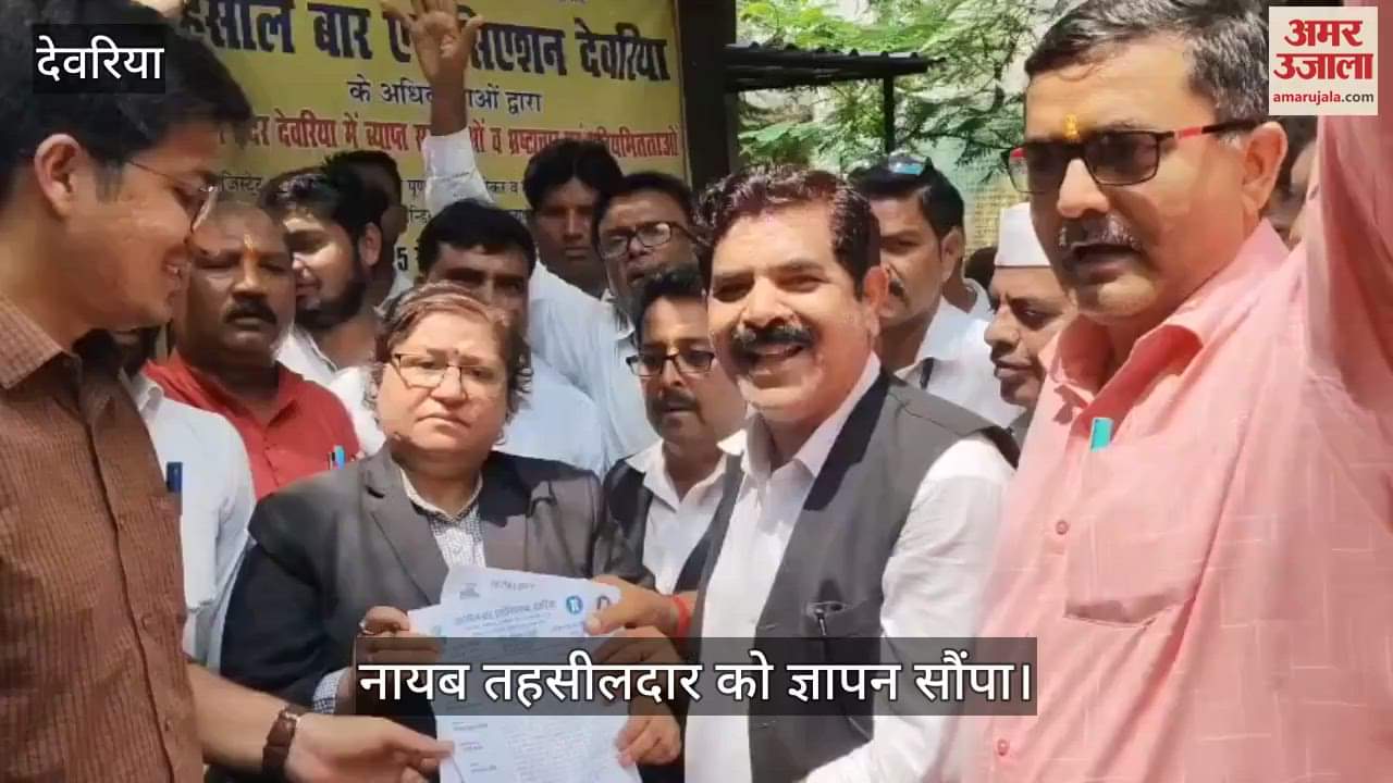 Former co-chairman of Bar Council of UP Madhulika Yadav came in support of the advocates