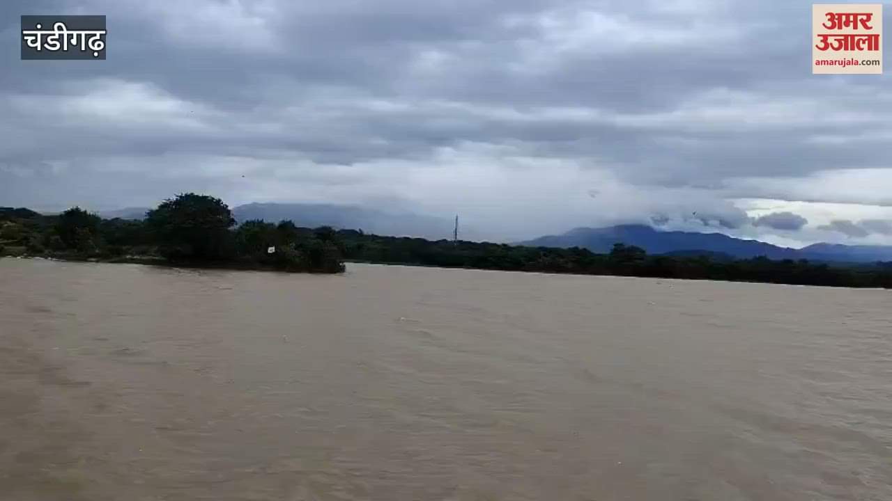 Weather is pleasant due to rain in Chandigarh, people gathered at Sukhna