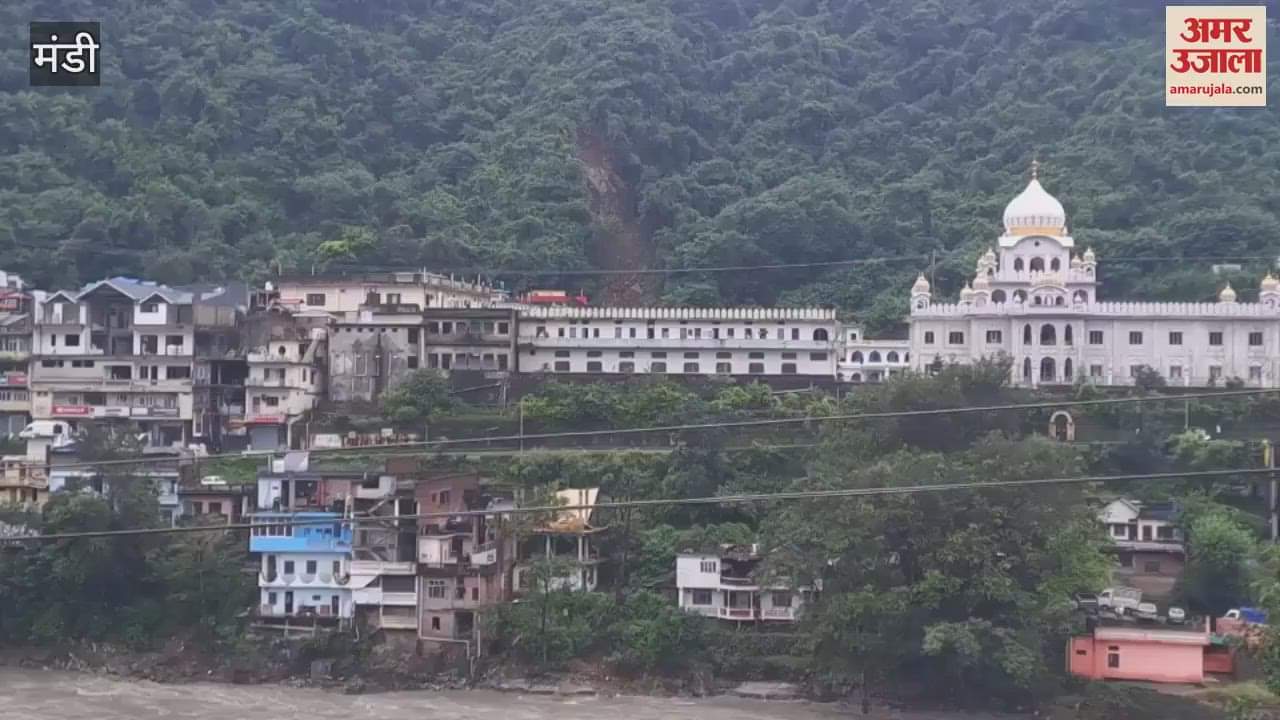 Mandi family became alert due to the barking of the female dog when they looked back they saw that the mountain was falling