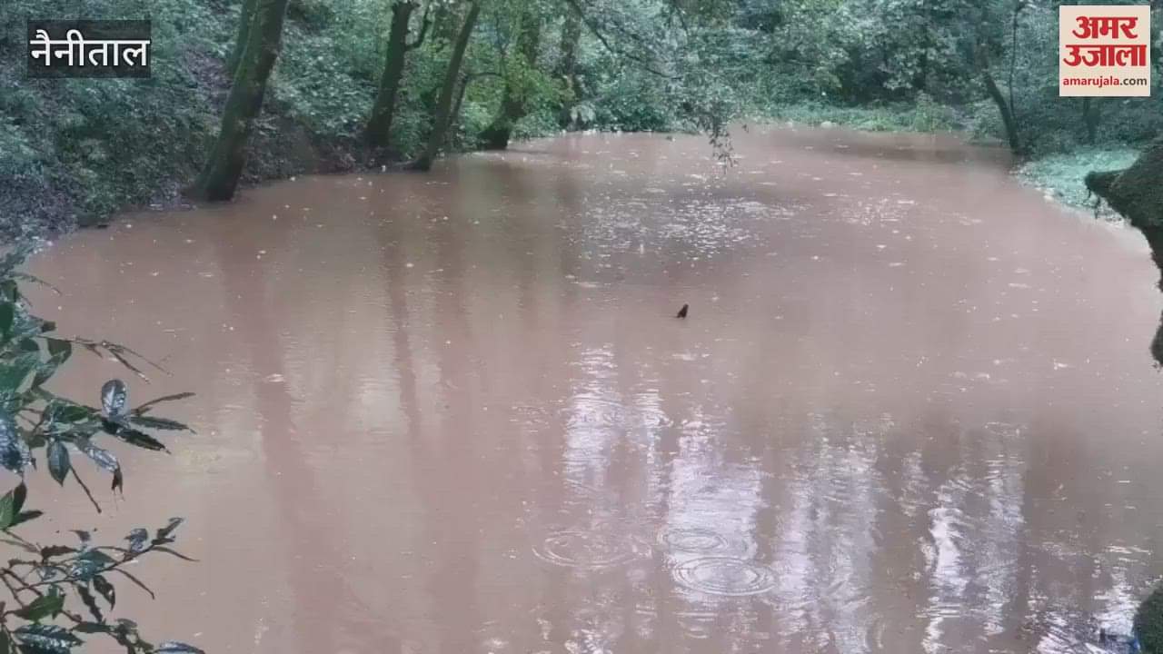 A natural lake formed in Ayarpata area due to heavy rains in Nainital