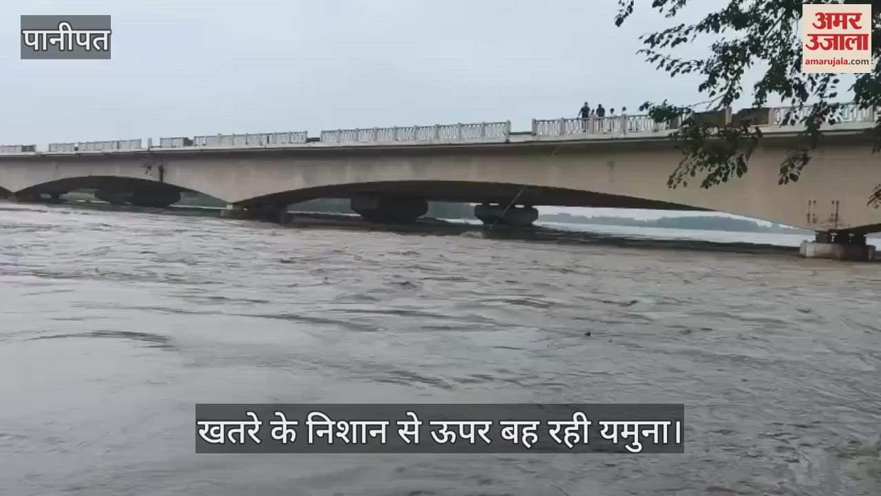 Yamuna flowing above the danger mark