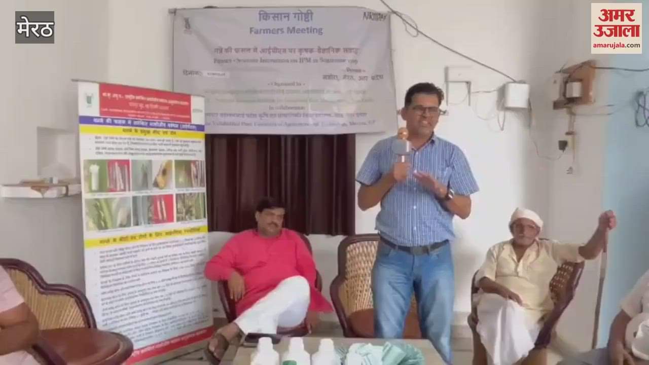 Meerut: Information given about pests in sugarcane and their prevention
