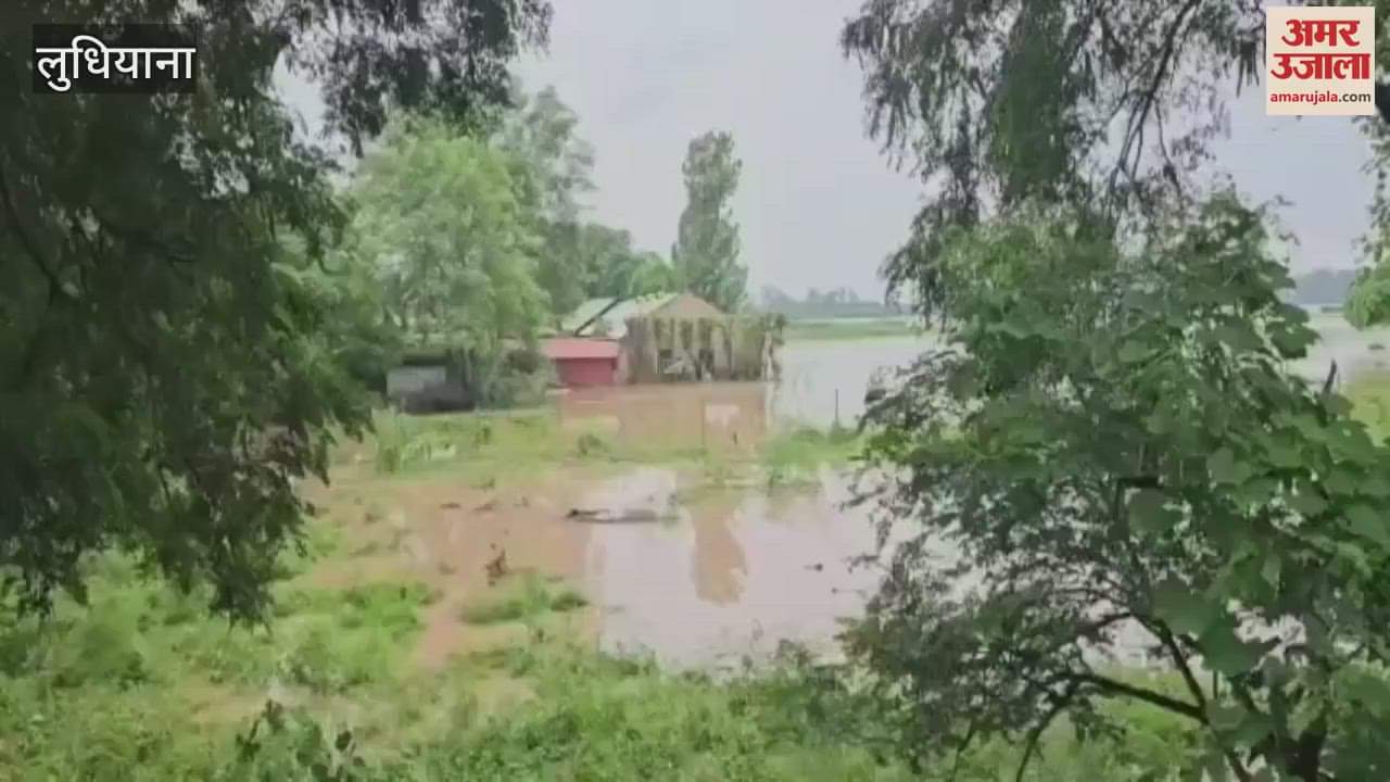 Sutlej in spate people risking their lives for Ganpati immersion