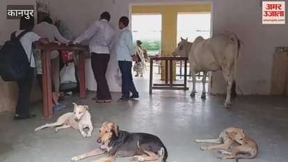 Passengers troubled by the ruckus of stray animals at the railway station