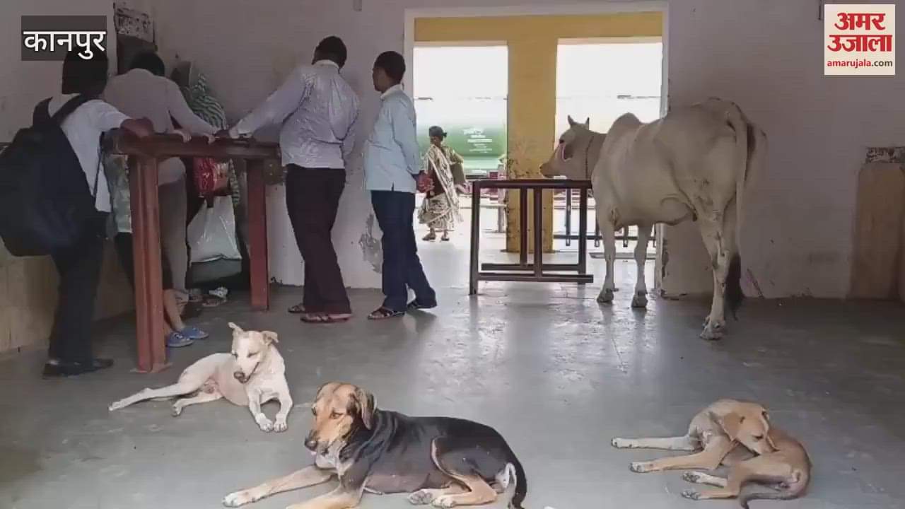 Passengers troubled by the ruckus of stray animals at the railway station