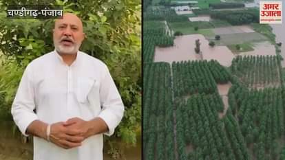 AAP leader Baltej Pannu targeted Punjab Congress chief Amarinder Singh Raja Vading