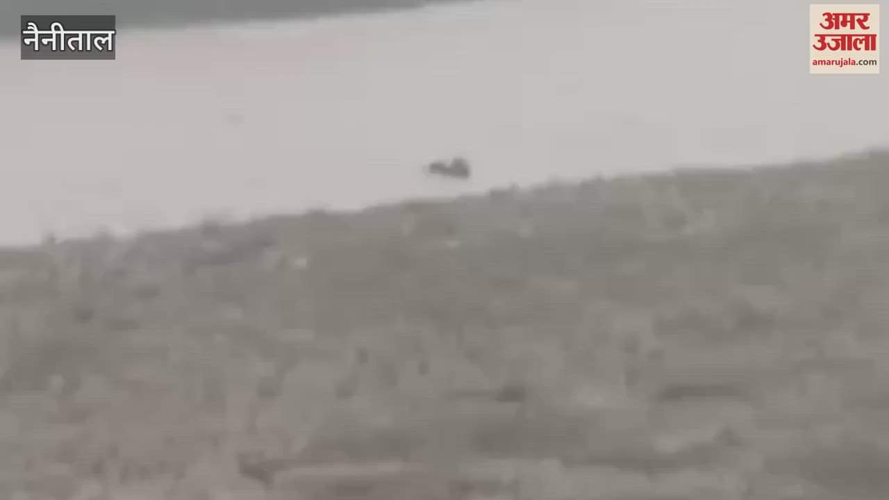 Two elephants trapped in Kosi river