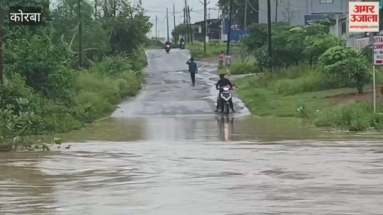 Torrential rain wreaks havoc in Korba watch video