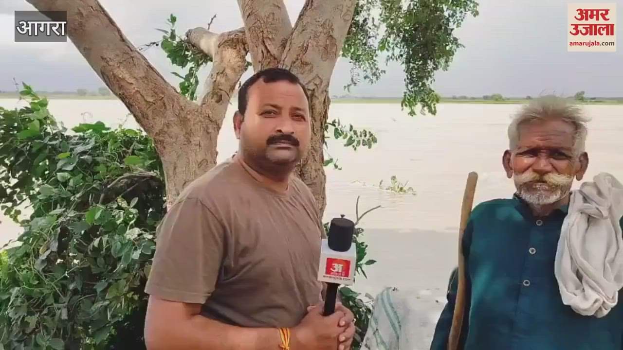 Yamuna in spate crops in danger