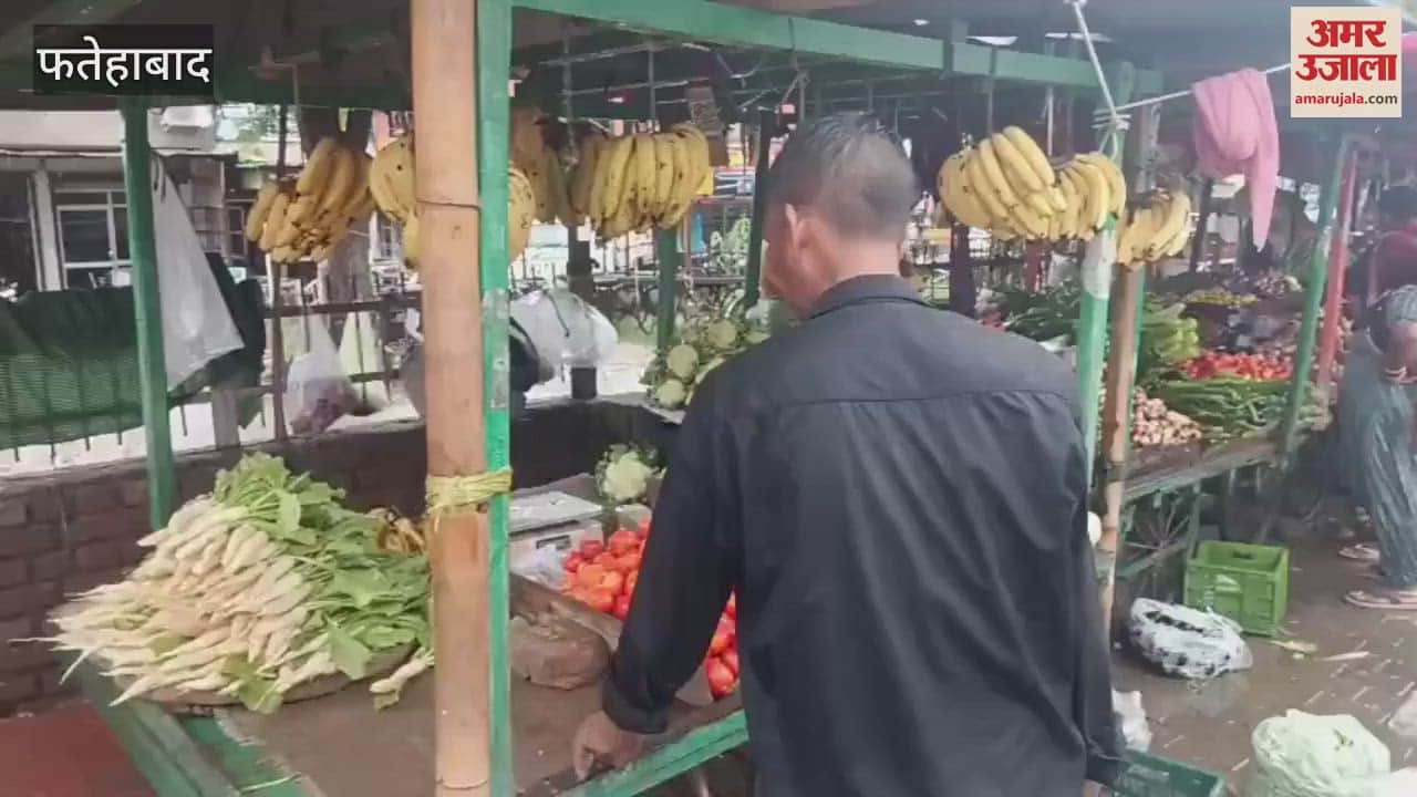 Vegetable crops got damaged due to rain in Fatehabad, prices increased