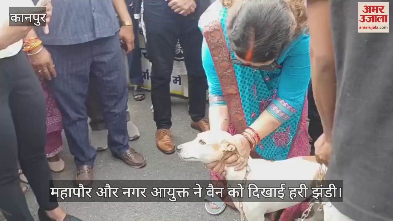 कानपुर नगर निगम ने शुरू किया स्ट्रीट डॉग वैक्सीनेशन अभियान