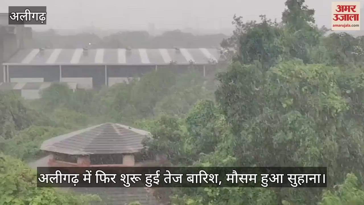 अलीगढ़ में फिर शुरू हुई तेज बारिश, मौसम हुआ सुहाना