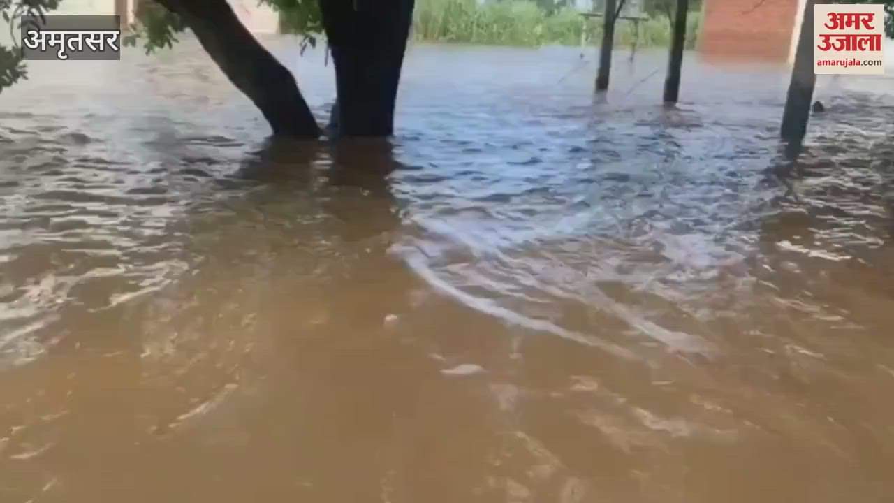 MP Gurjeet Aujla took the old man trapped in water to his home in his car