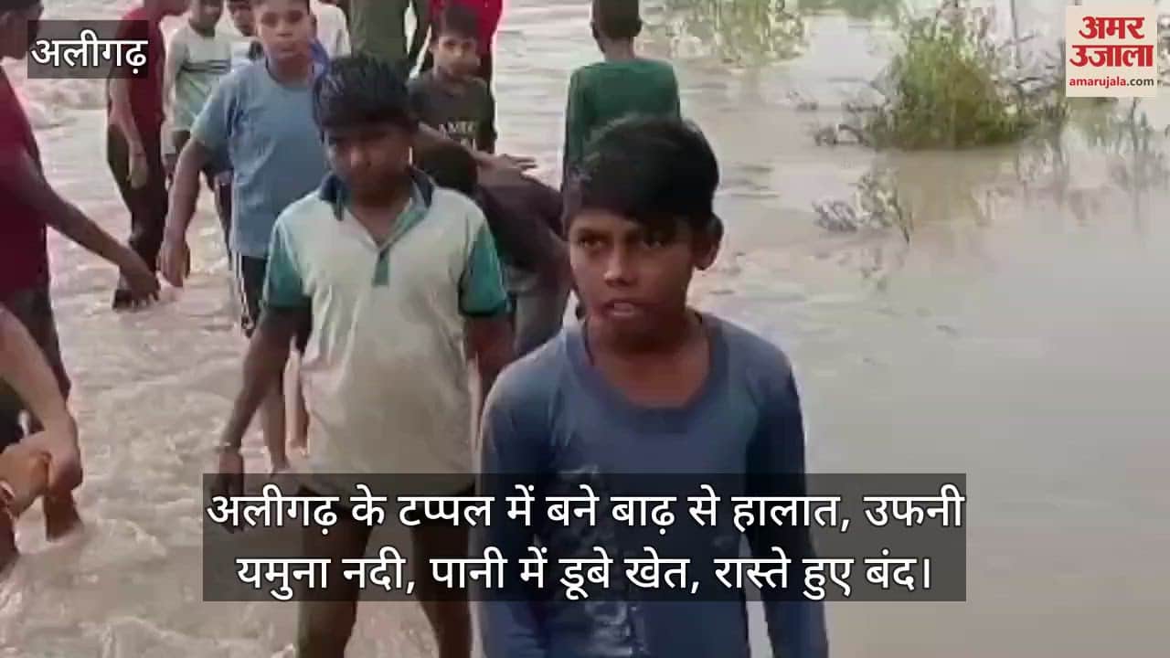 अलीगढ़ के टप्पल में बने बाढ़ से हालात, उफनी यमुना नदी, पानी में डूबे खेत, रास्ते हुए बंद