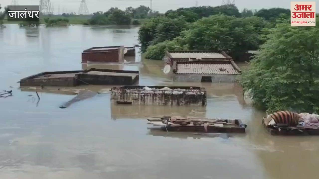 Flood in Kangsabu village of Jalandhar 150 houses submerged in water