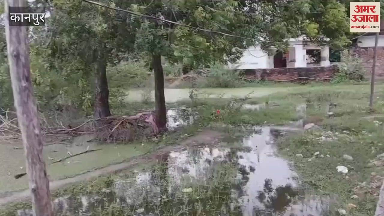 People are troubled by the problem of severe waterlogging in Ratanpur village of Panki