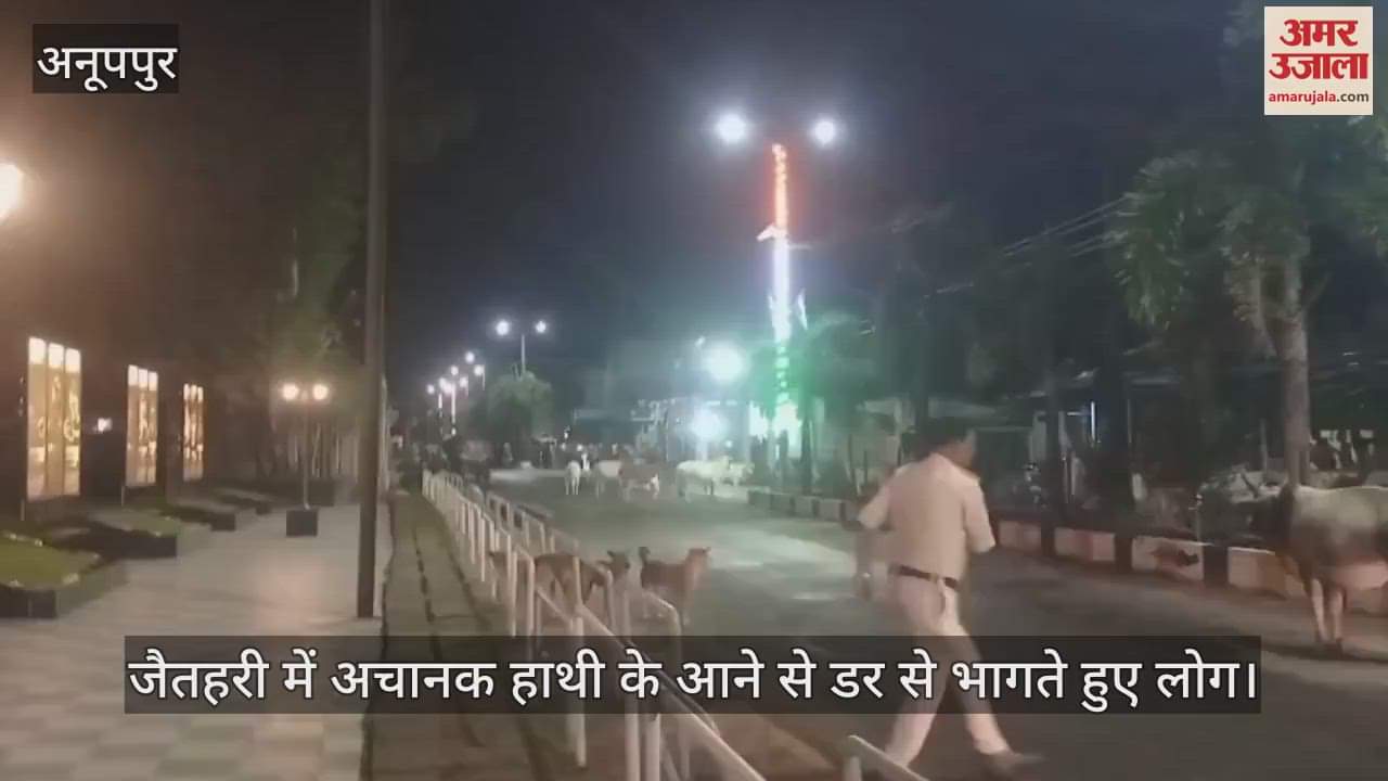 People ran away to save their lives from the elephant, police drove them out by bursting crackers
