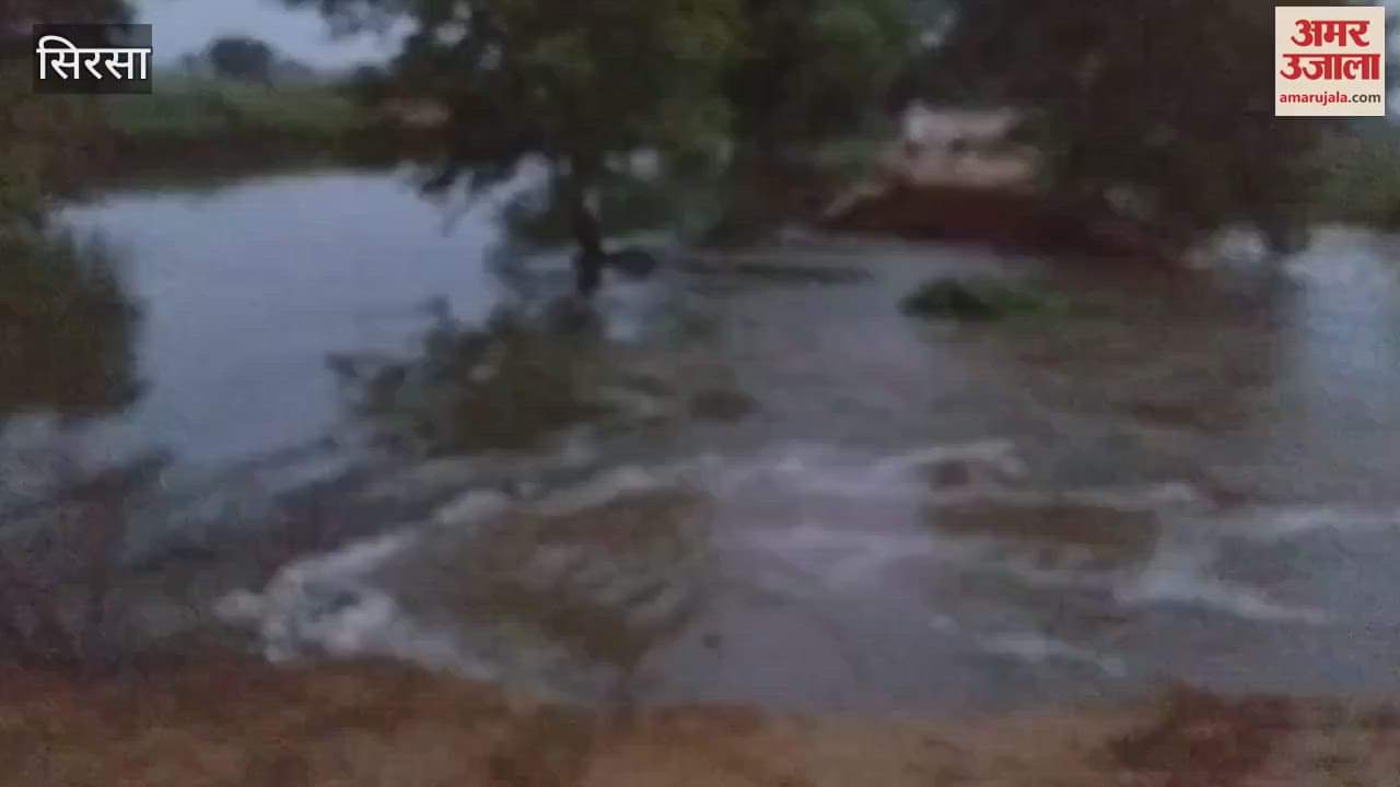 Ghaggar's havoc continues in Sirsa; Kutcha embankments started giving up, administration on high alert mode