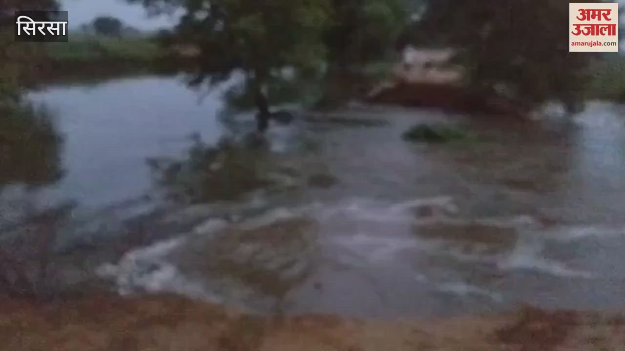 Ghaggar's havoc continues in Sirsa; Kutcha embankments started giving up, administration on high alert mode
