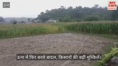 Clouds rained again in Una, farmers' problems increased