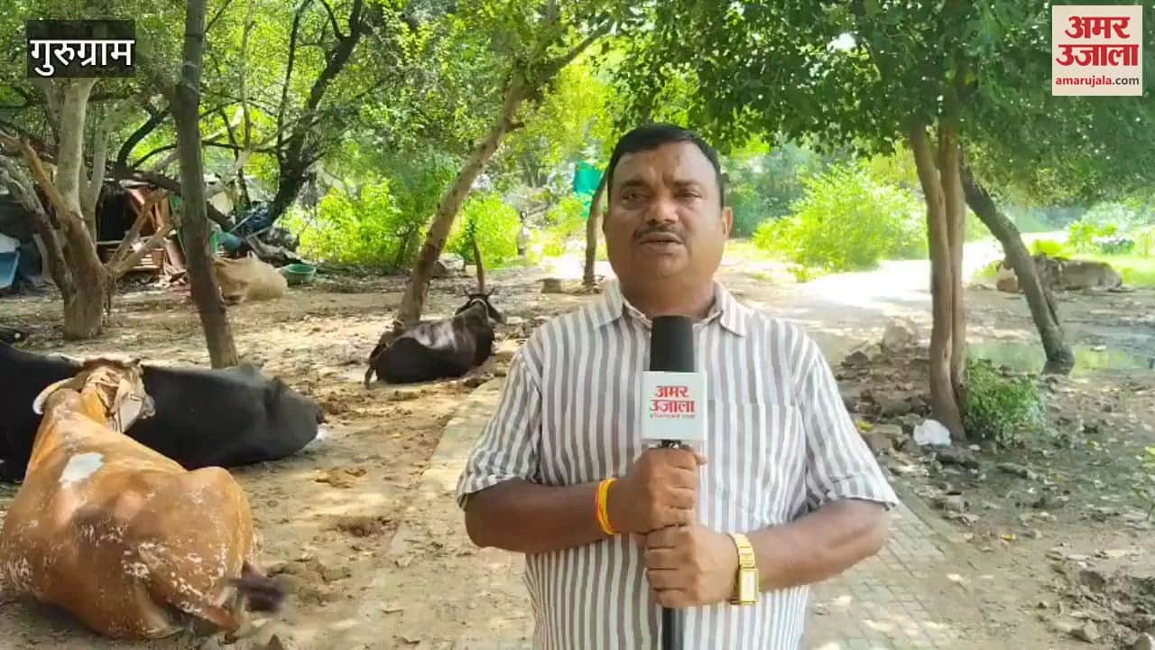 Gurugram People encroached upon the municipal park