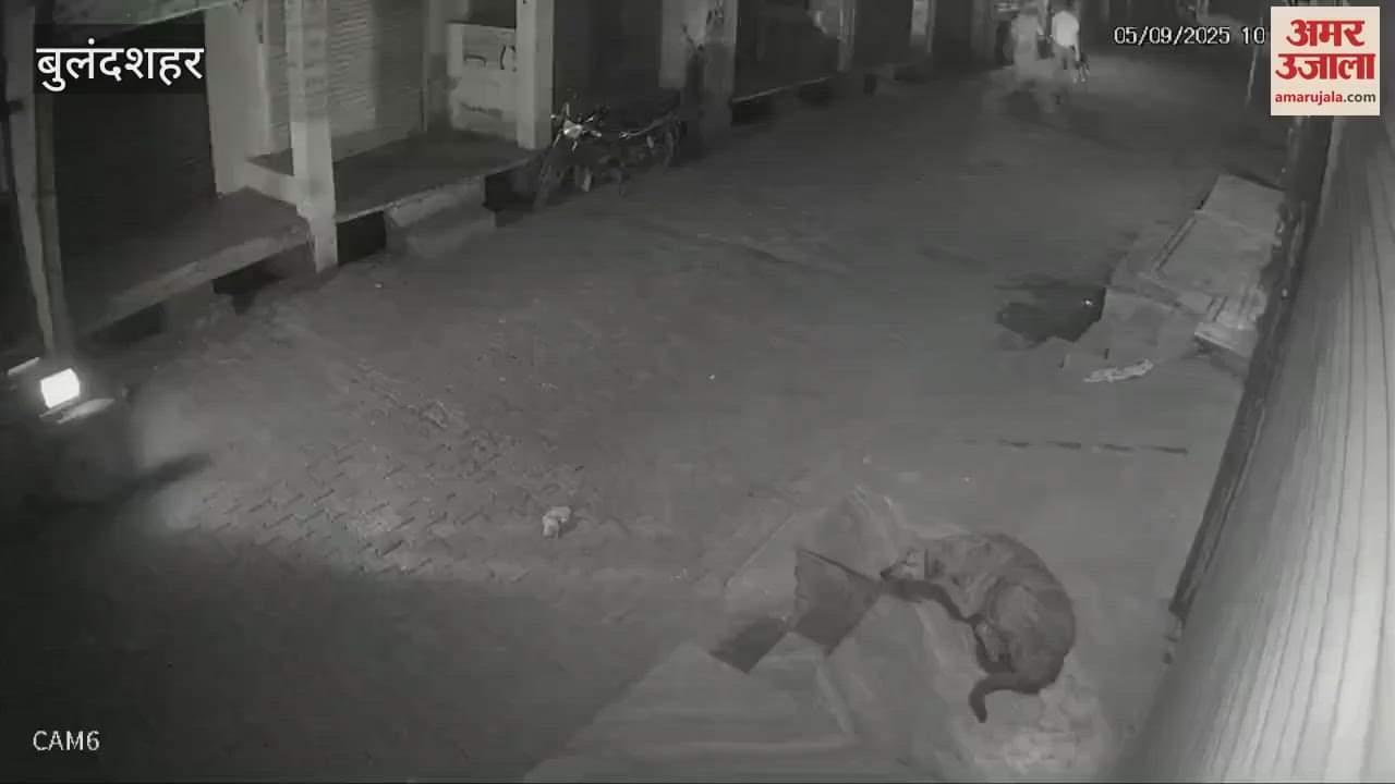 Theft on advocate's bike parked outside the house in Bulandshahr