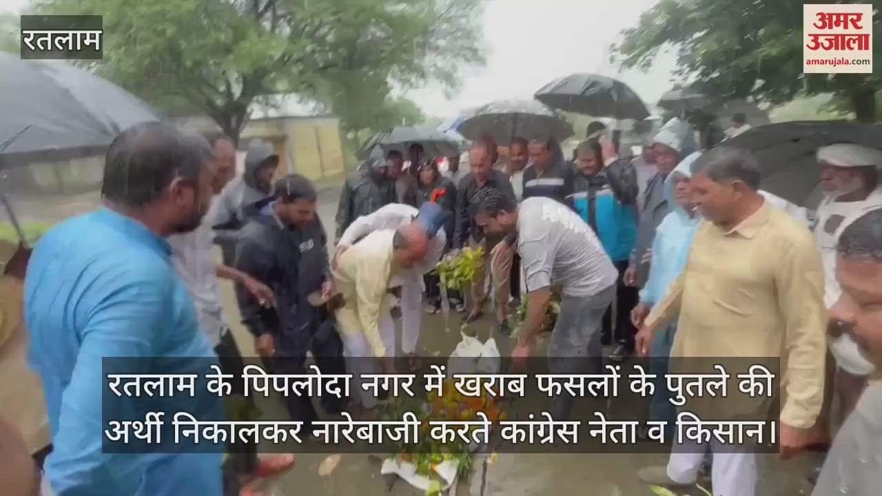 Ratlam district has received 46 inches of rain so far