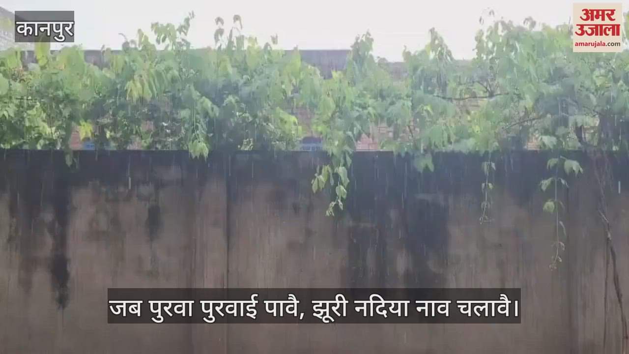 कानपुर के भीतरगांव में पुरवैया चली, झमाझम बारिश से खेत-खलिहान जलमग्न