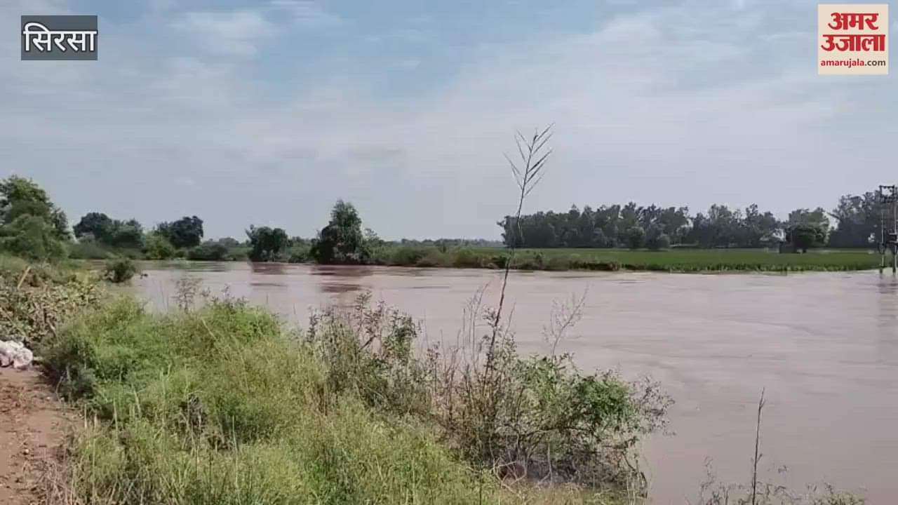 The raw embankment near Jhordnali in Sirsa broke, 2000 acres of land submerged