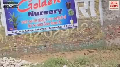 In Tohana, Fatehabad, the nursery wall collapsed and plants worth lakhs were damaged due to sewage water