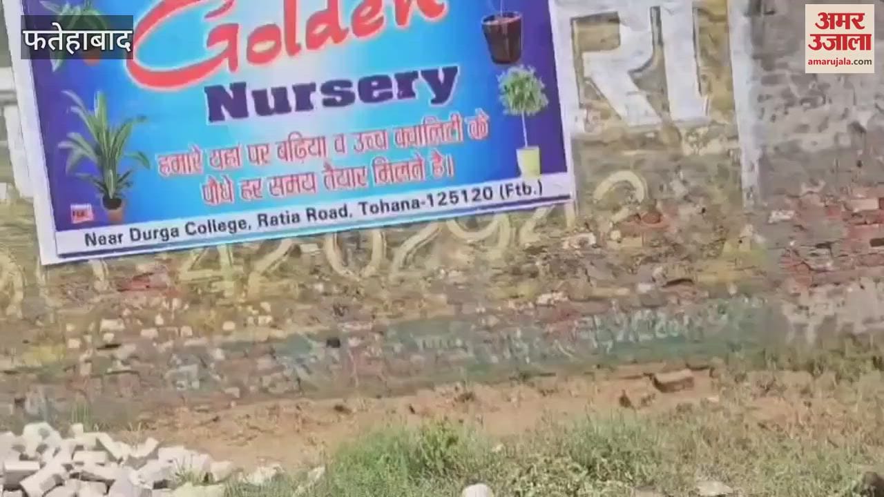In Tohana, Fatehabad, the nursery wall collapsed and plants worth lakhs were damaged due to sewage water