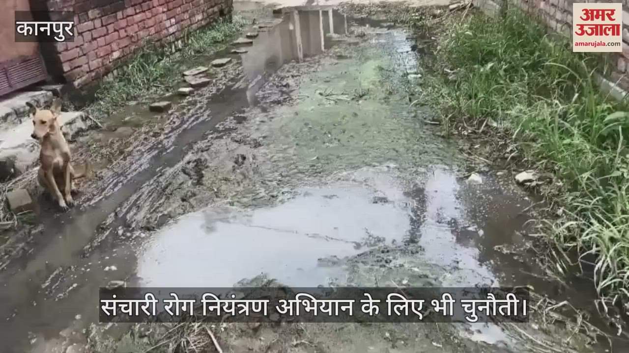 कानपुर: बीहूपुर गांव की गलियों में कीचड़ और दुर्गंध से मुश्किलें