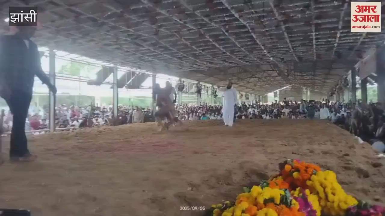 Jhansi: Huge wrestling competition held at Jalvihar Festival, video