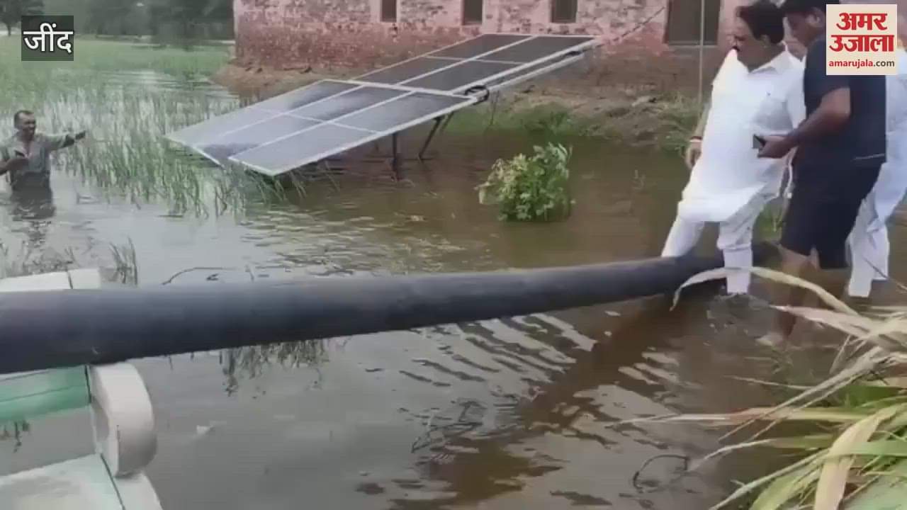 Deputy Speaker Dr. Krishna Lal Midha entered water filled fields