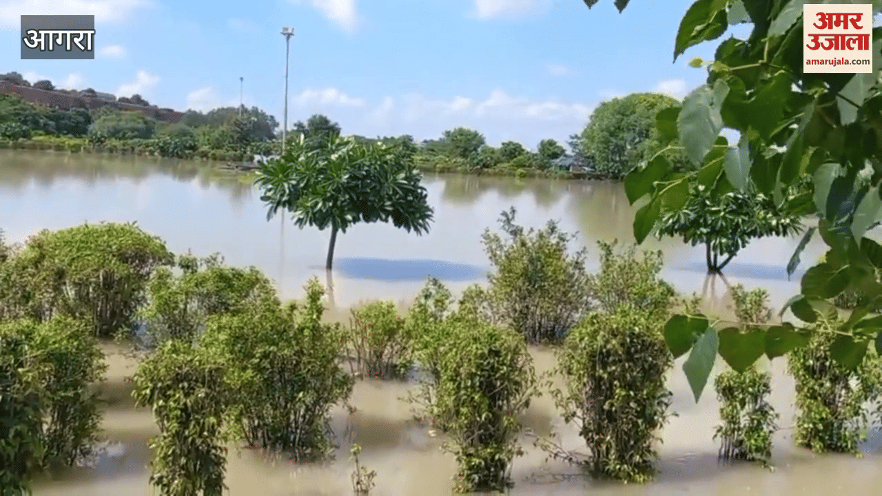 Taj View Point submerged due to flood in Agra