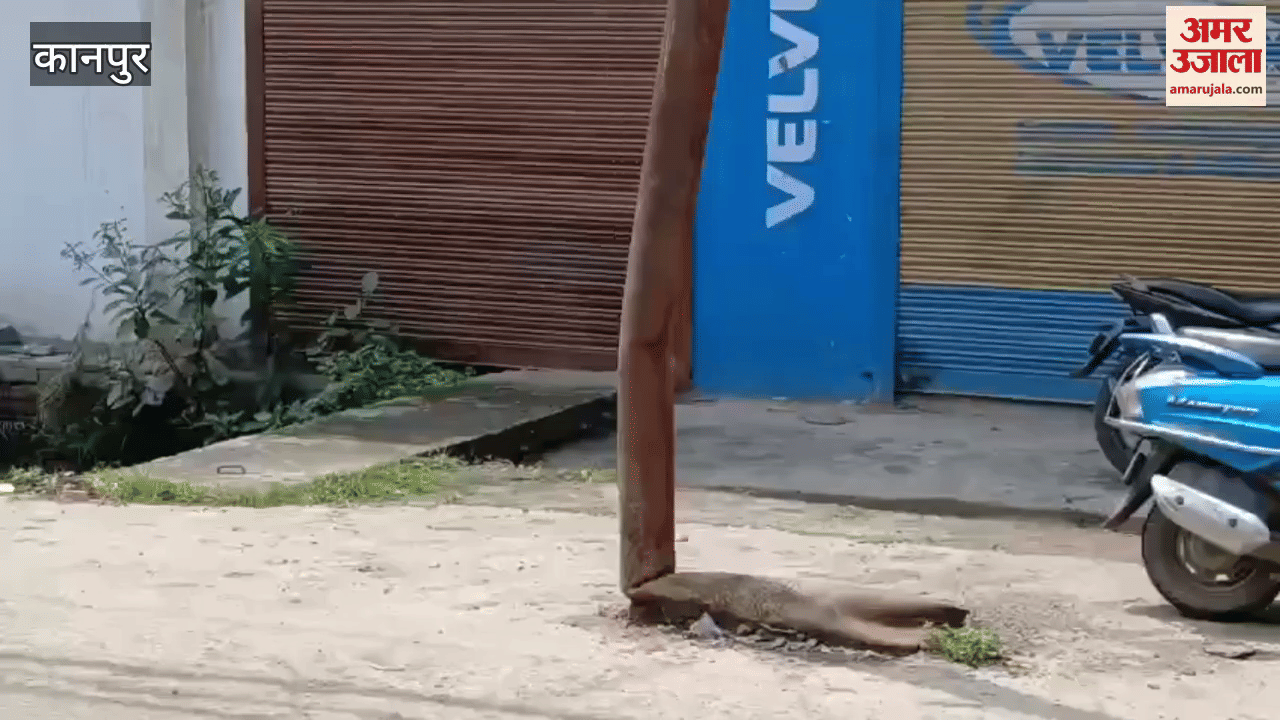 Electricity pole broken at many places on the road towards Bhatia Tiraha, danger of accident