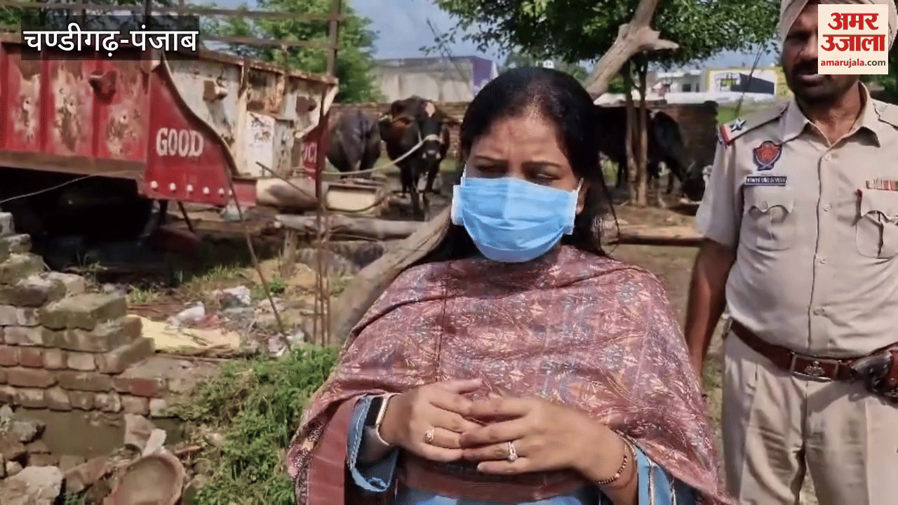 In Ferozepur, CJM got the broken road of Tendi Wala repaired