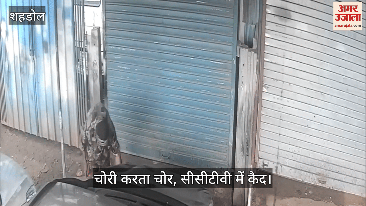 Thief seen stealing wiring of luxury cars in Shahdol, drug addict