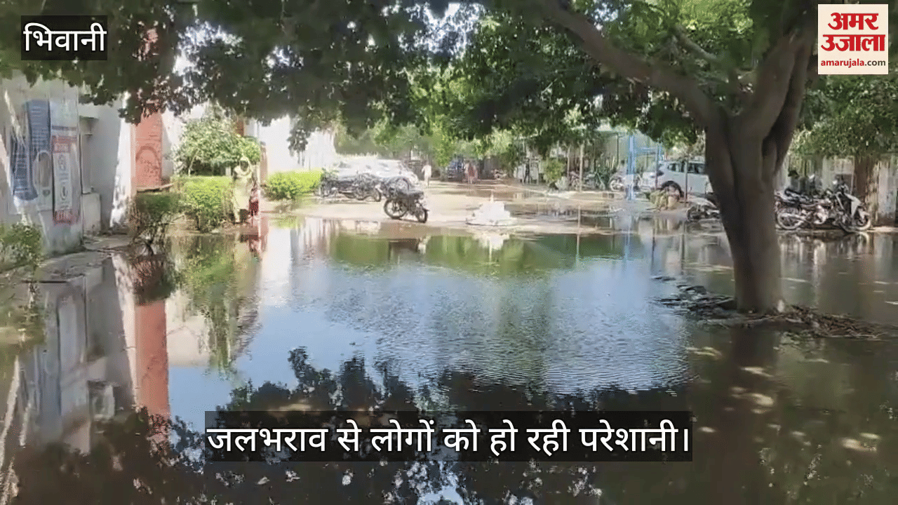 People are facing problems due to waterlogging