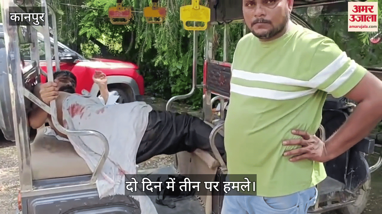 कानपुर के नरवल में बंदरों के झुंड ने अधेड़ को काटकर किया घायल