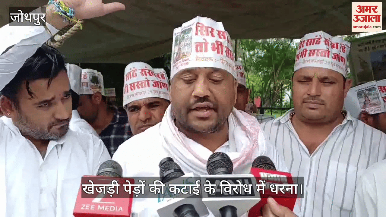 Jodhpur News: Bishnoi society enraged over Khejri cutting Bishnoi Tiger Force protests against solar companies