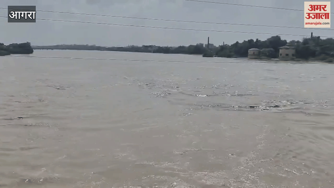 Look at the flow of Yamuna you will feel scared