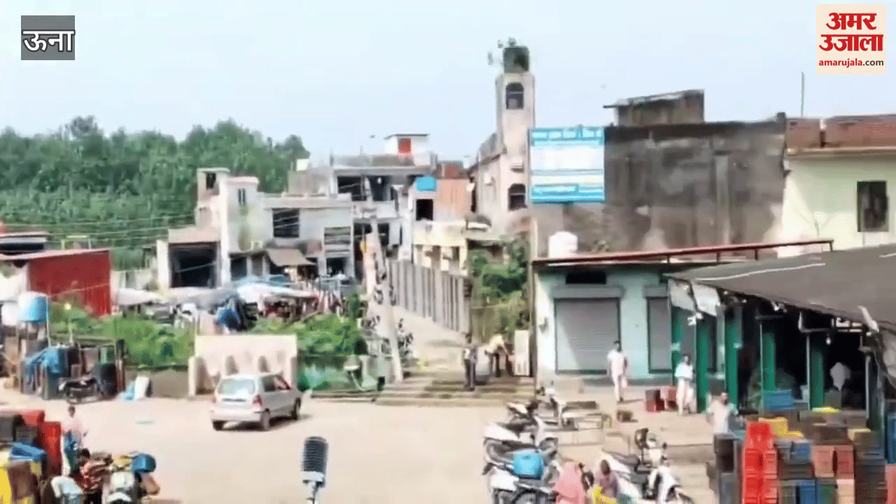 A poisonous cobra snake was found in the vegetable market of Una
