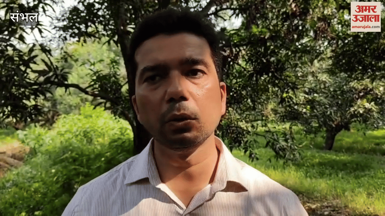 Three and a half bigha government land in the possession of SP MLA was freed from possession