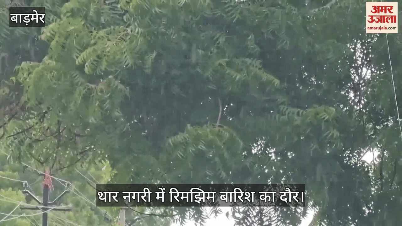 Rajasthan Weather: Dark clouds in sky, drizzle in Thar city Barmer makes weather pleasant