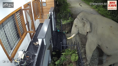 Haridwar: Elephant created havoc in Harilok colony late at night, vandalized several vehicles