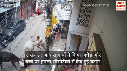 लखनऊ: आवारा गायों ने किया अधेड़ और बच्चे पर हमला,सीसीटीवी में कैद हुई घटना