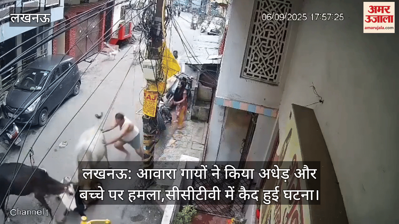 लखनऊ: आवारा गायों ने किया अधेड़ और बच्चे पर हमला,सीसीटीवी में कैद हुई घटना