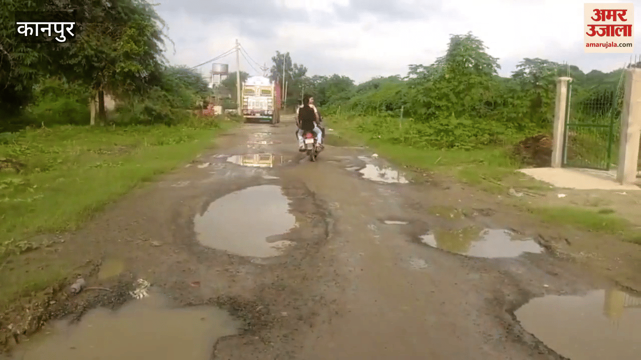 plight of the road going to Mandhana through Rautapur village of Chaubepur