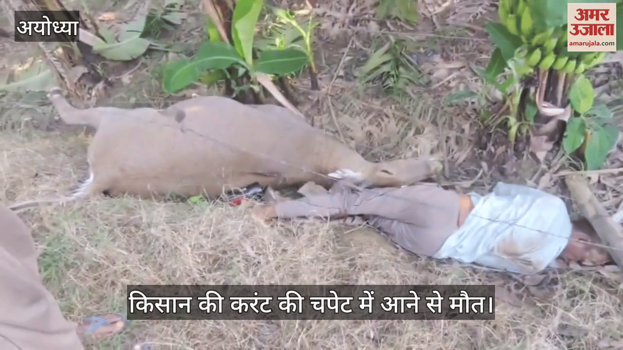 VIDEO: अयोध्या : वनरोज के साथ केले के खेत की रखवाली कर रहे किसान की करंट की चपेट में आने से मौत